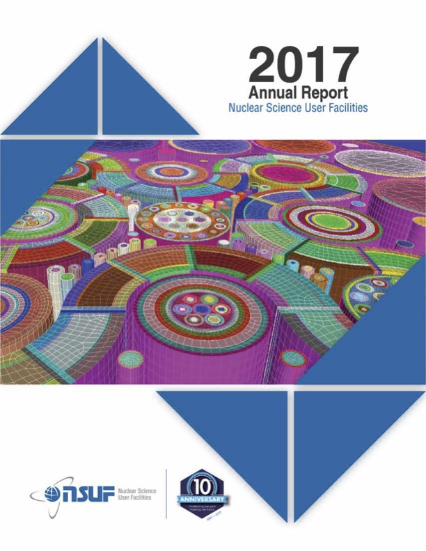 NSUF Annual Report 2017