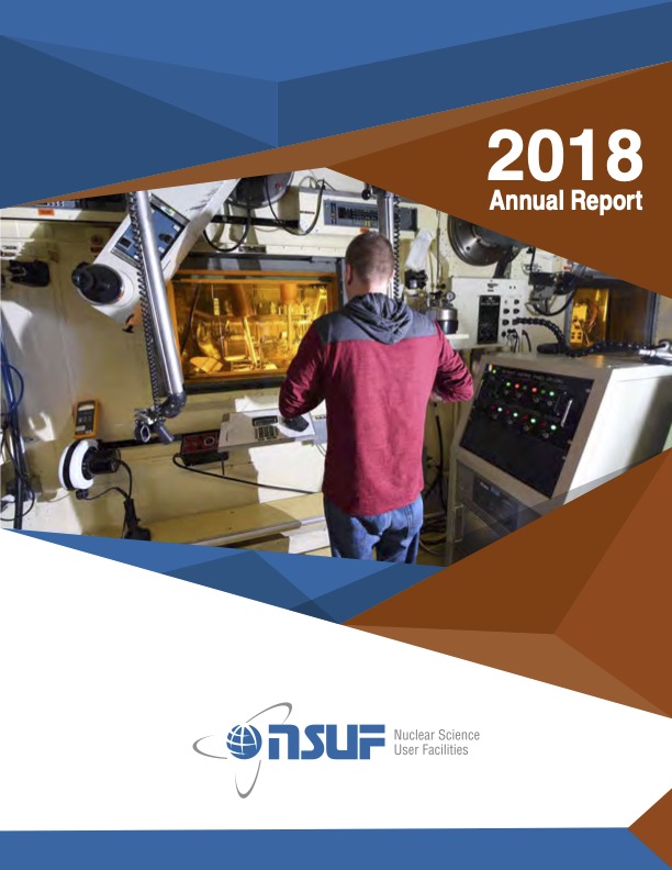 NSUF Annual Report 2018
